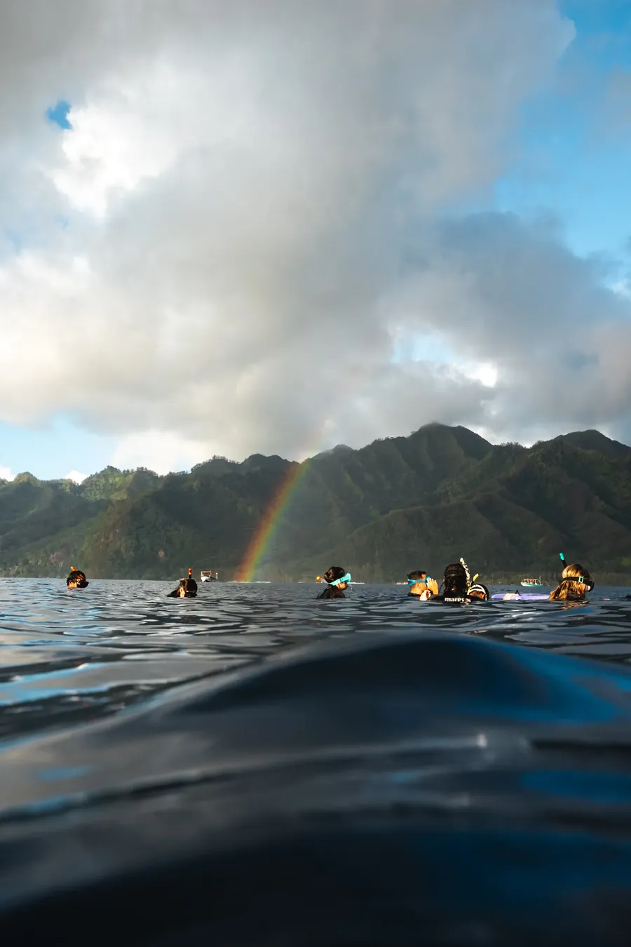 Mo'orea expedition