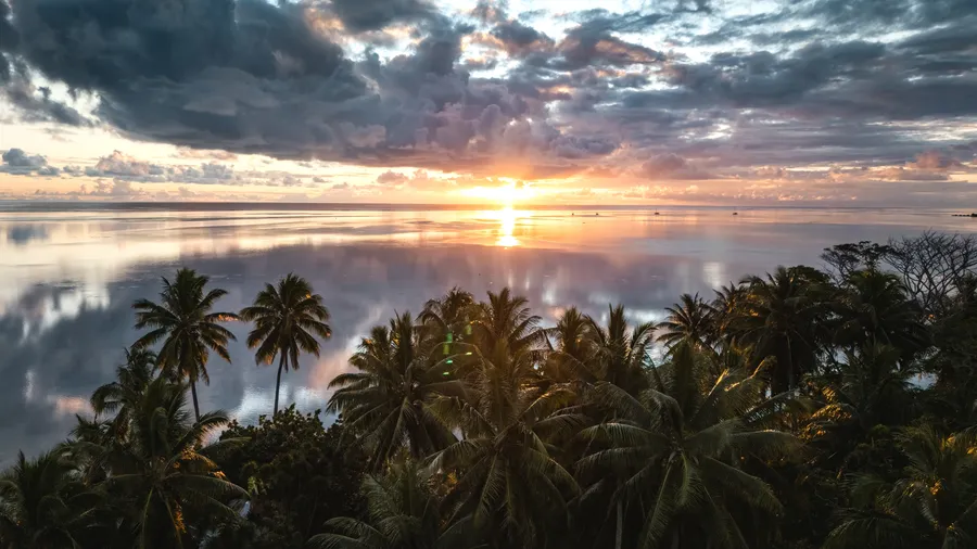 Palm trees and a still lagoon at sunset, boats on the horizon — Mo’orea island evening