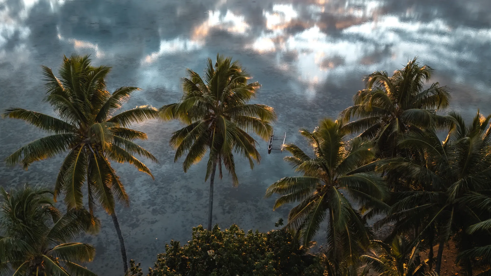 Palms and a glassy lagoon with a traditional outrigger canoe at dawn — Mo'orea